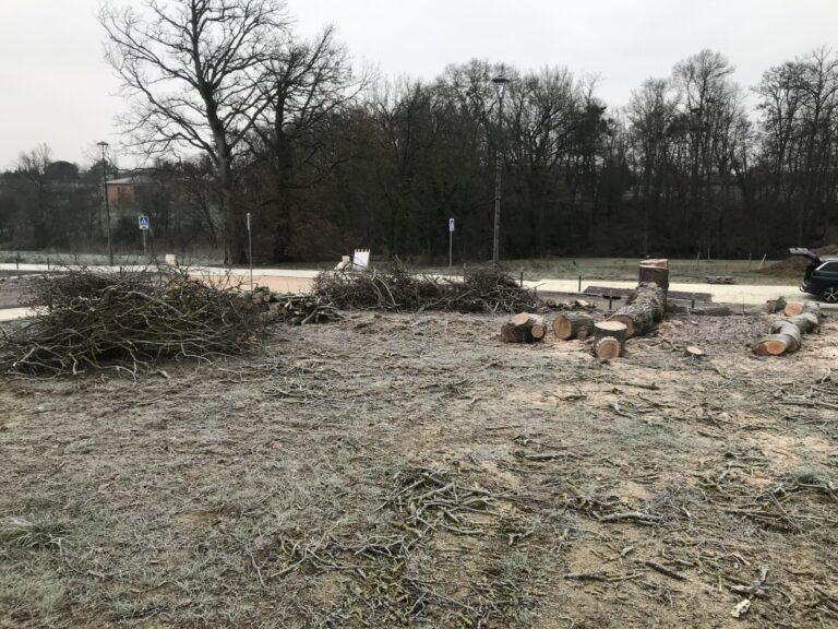 Terrain pour la construction de la maison